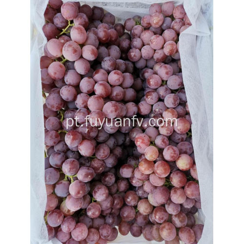 Uvas vermelhas do globo de Yunnan
